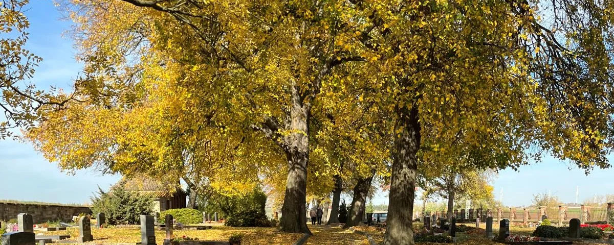 Herbstzeit